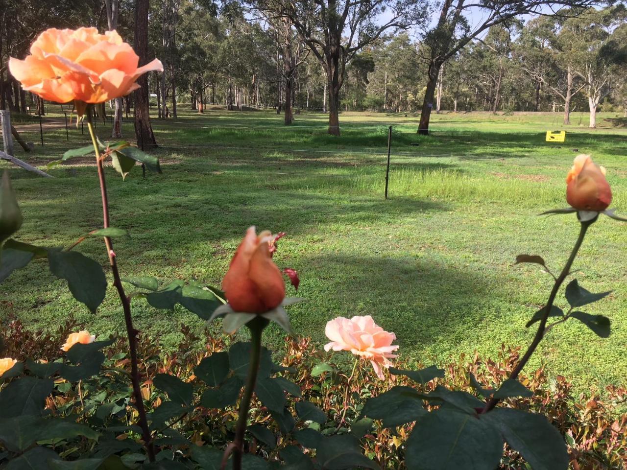 Hunter Valley Retreat Quorrobolong Kültér fotó